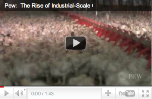PEW Report on The Chicken Industry