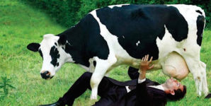Deconstructing the Dairy Is Natural Myth in 14 Steps