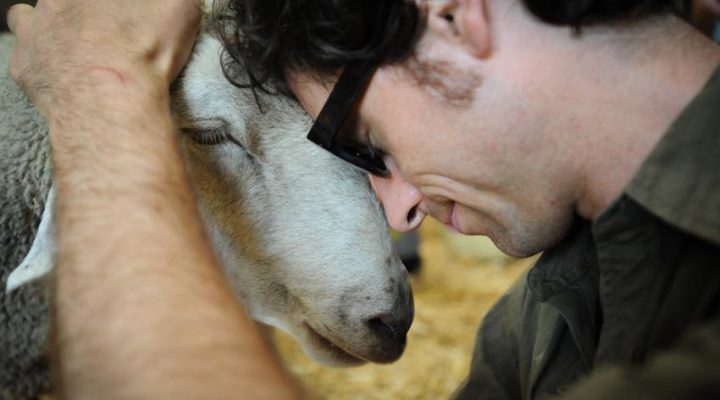 man hugging sheep