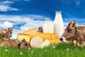 humane dairy
