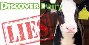 Adopt A Cow Program is Pure Industry Propaganda
